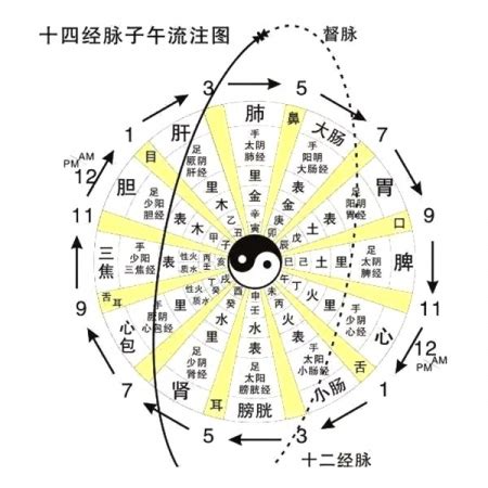 太極的意義|太極簡介